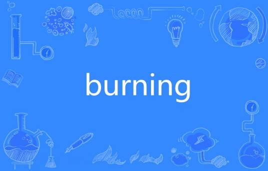 burning（英文单词）