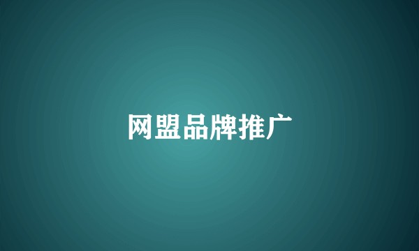 网盟品牌推广