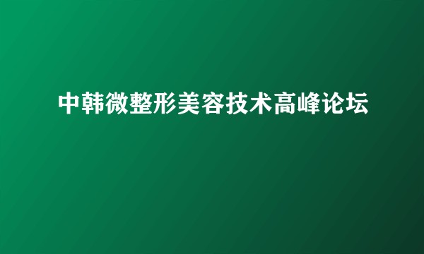 中韩微整形美容技术高峰论坛