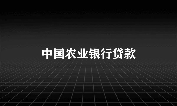 中国农业银行贷款
