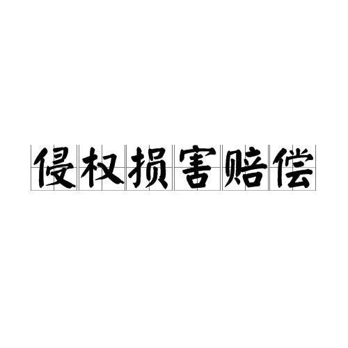 侵权损害赔偿（法律领域术语）