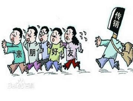 蝶贝蕾传销案