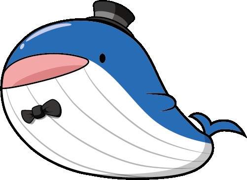 赛乐