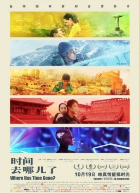 时间去哪儿了(贾樟柯执导电影)