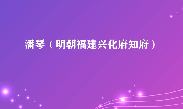 潘琴(明朝福建兴化府知府)