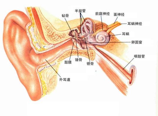梅丽尔综合症