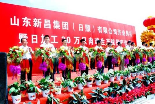 山东新昌集团有限公司