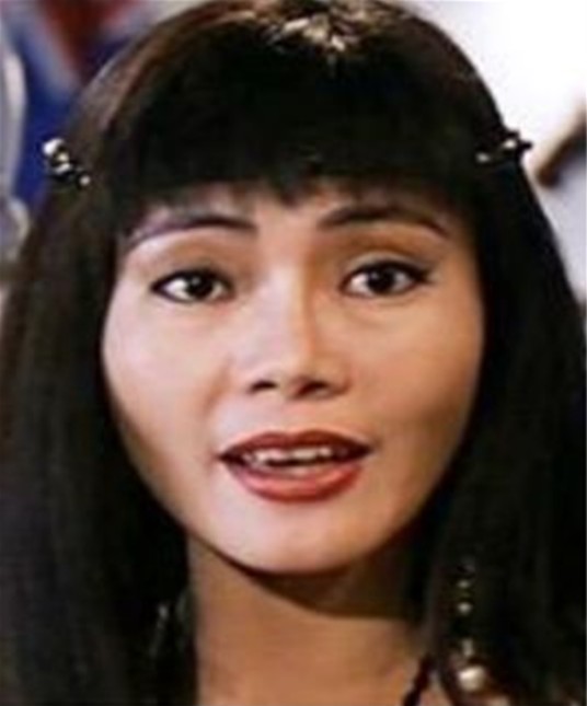 许晓丹(中国台湾女演员、人体模特儿、画家、服装设计师)