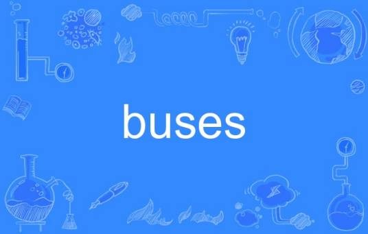 buses