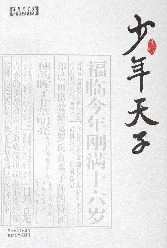 少年天子(凌力著长篇小说)
