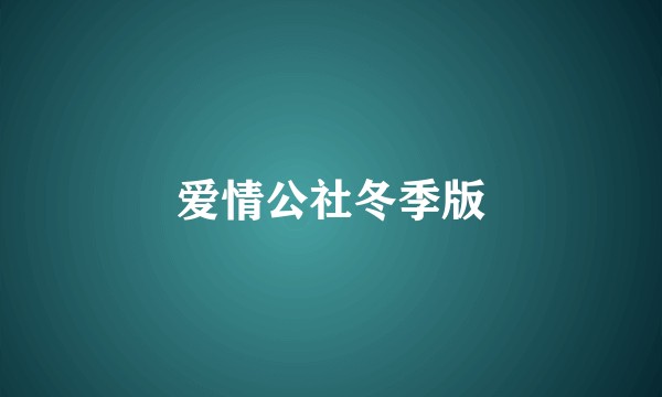 爱情公社冬季版