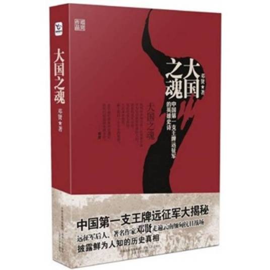 大国之魂：中国第一支王牌远征军的英雄史诗
