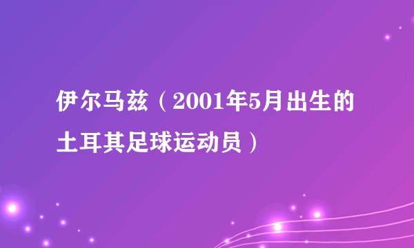 伊尔马兹（2001年5月出生的土耳其足球运动员）