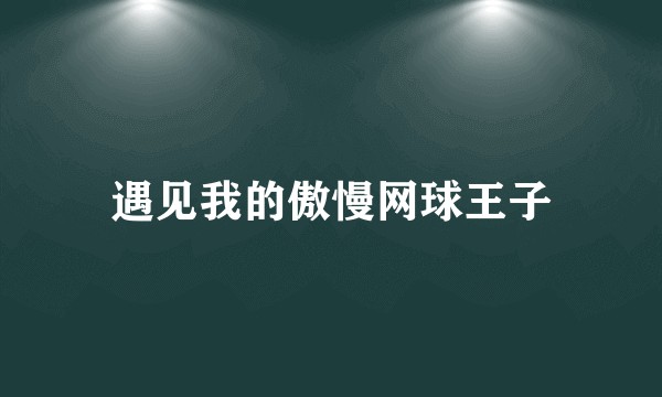 遇见我的傲慢网球王子