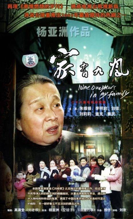 家有九凤(2005年杨亚洲执导的家庭剧情剧)