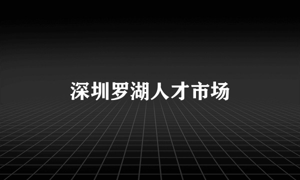 深圳罗湖人才市场