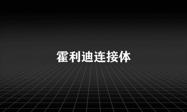 霍利迪连接体