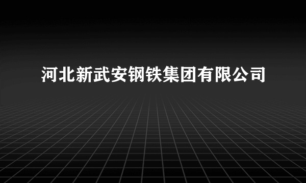 河北新武安钢铁集团有限公司