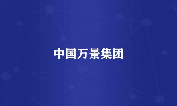 中国万景集团