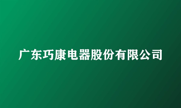 广东巧康电器股份有限公司