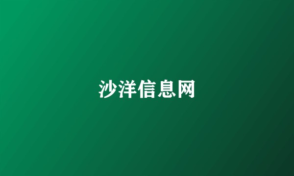 沙洋信息网