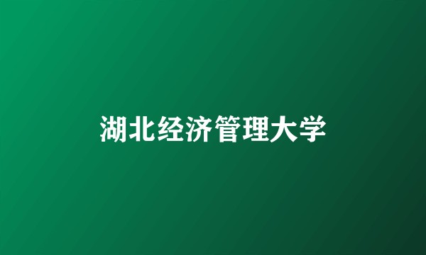 湖北经济管理大学