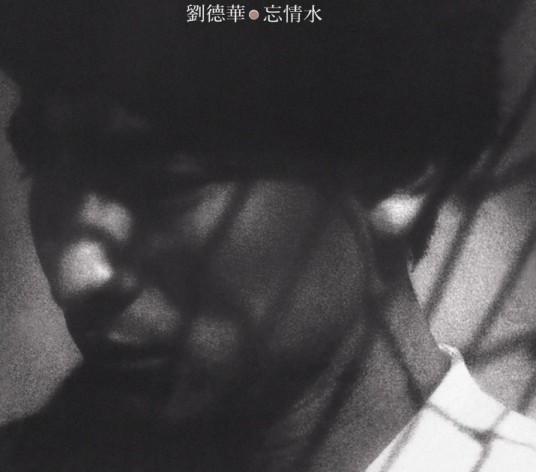 不该爱上你（刘德华演唱的歌曲）