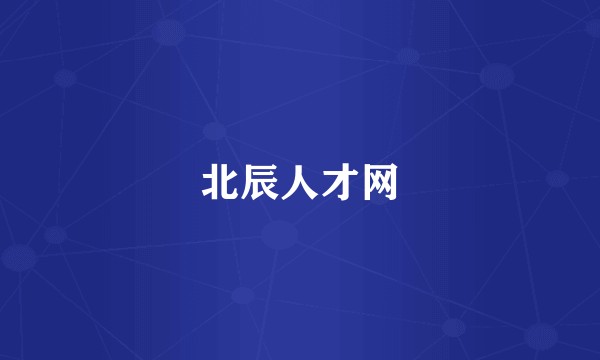 北辰人才网
