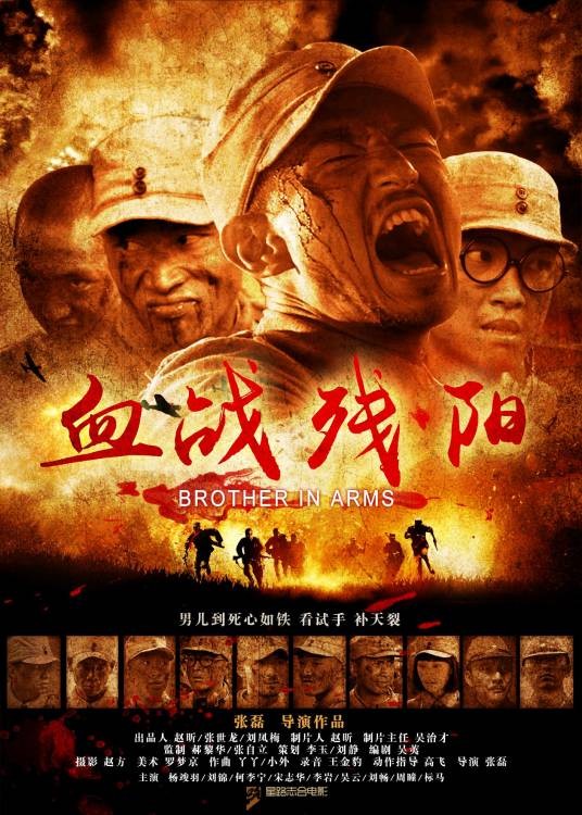 血战残阳（2013年张磊执导的战争电影）