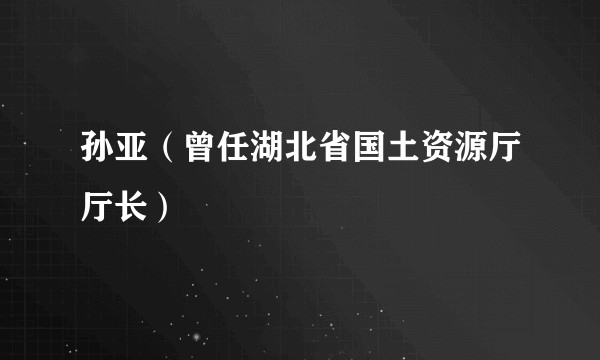 孙亚（曾任湖北省国土资源厅厅长）