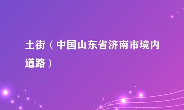 土街（中国山东省济南市境内道路）