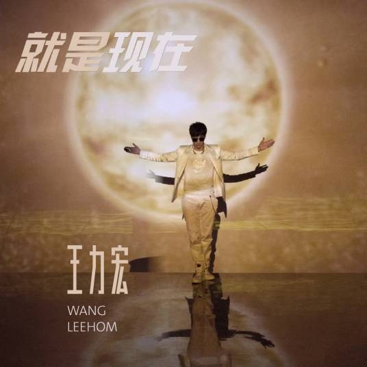就是现在(王力宏演唱歌曲)