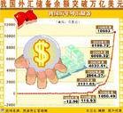 国家外汇投资公司