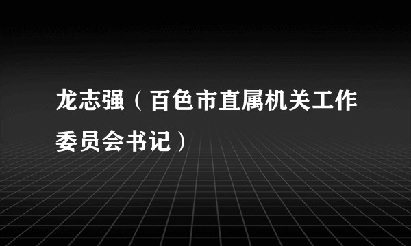 龙志强（百色市直属机关工作委员会书记）
