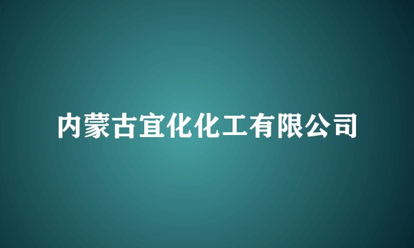 内蒙古宜化化工有限公司