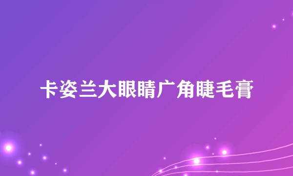 卡姿兰大眼睛广角睫毛膏