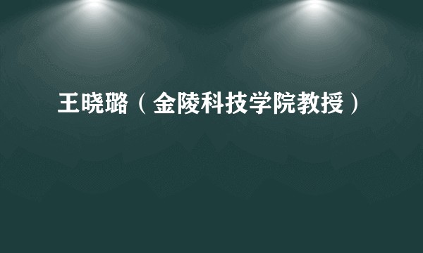 王晓璐（金陵科技学院教授）