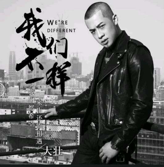 我们不一样（大壮演唱歌曲）