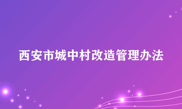西安市城中村改造管理办法
