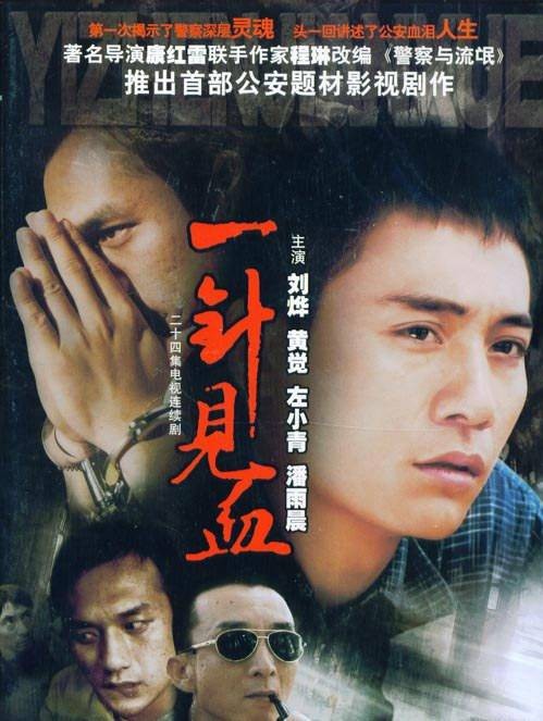 一针见血（2005年康洪雷执导的电视剧）