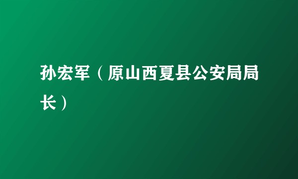 孙宏军（原山西夏县公安局局长）
