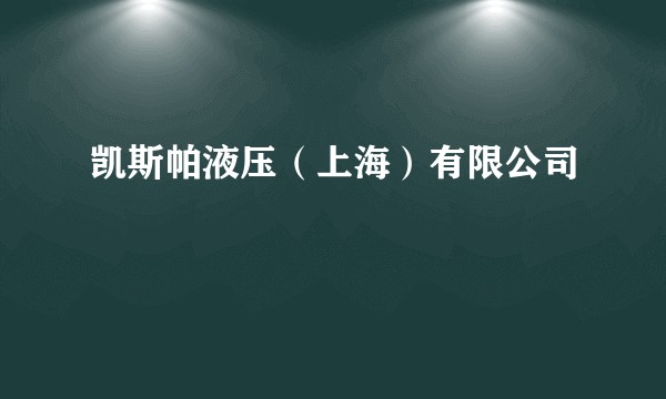 凯斯帕液压（上海）有限公司