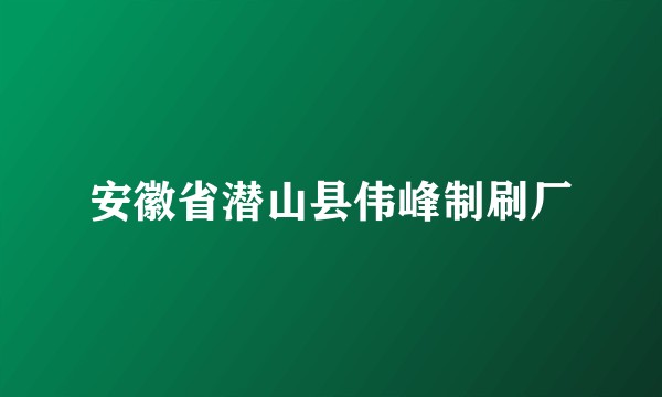 安徽省潜山县伟峰制刷厂