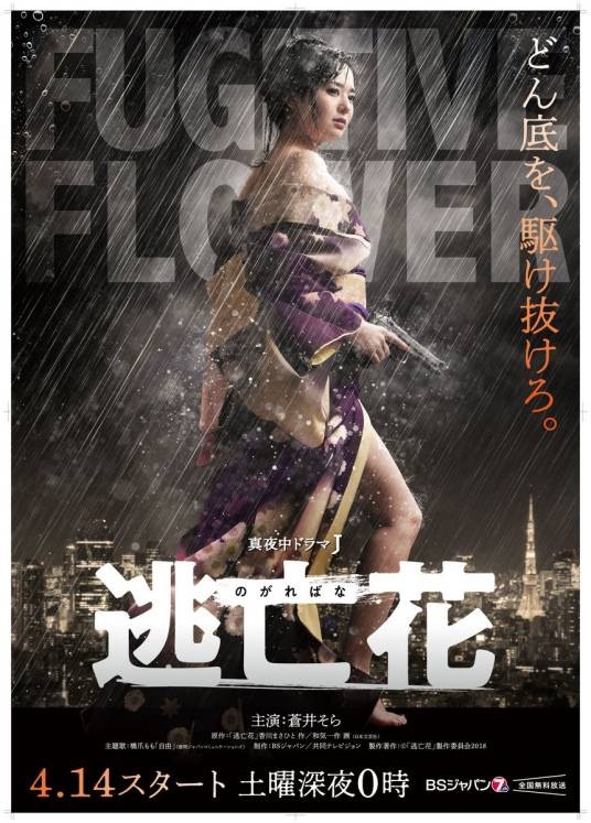 逃亡花（日本2018年苍井空主演电视剧）