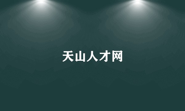 天山人才网