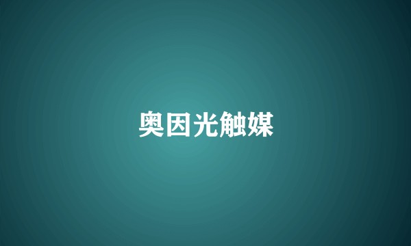 奥因光触媒