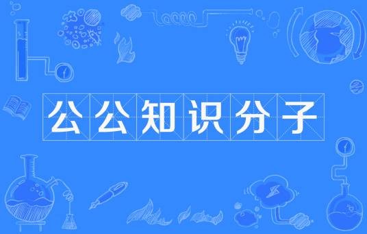 公公知识分子