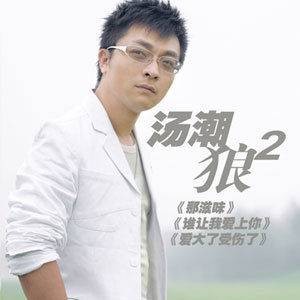 爱情小偷（2008年汤潮演唱的歌曲）