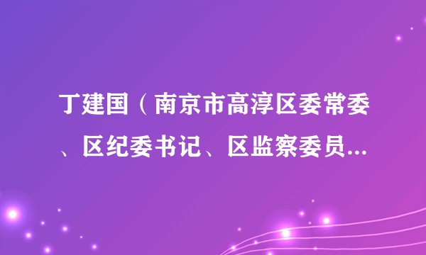 丁建国（南京市高淳区委常委、区纪委书记、区监察委员会主任）