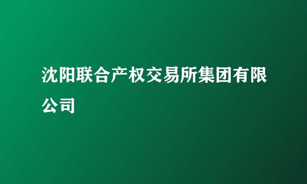 沈阳联合产权交易所集团有限公司